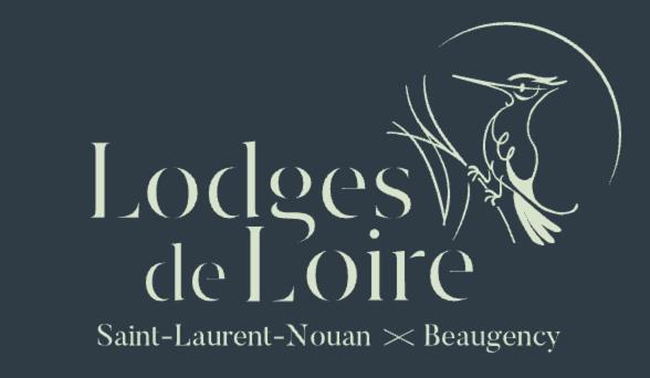 Lodge De Loire - B & B Proche Chambord Saint-Laurent-Nouan Luaran gambar