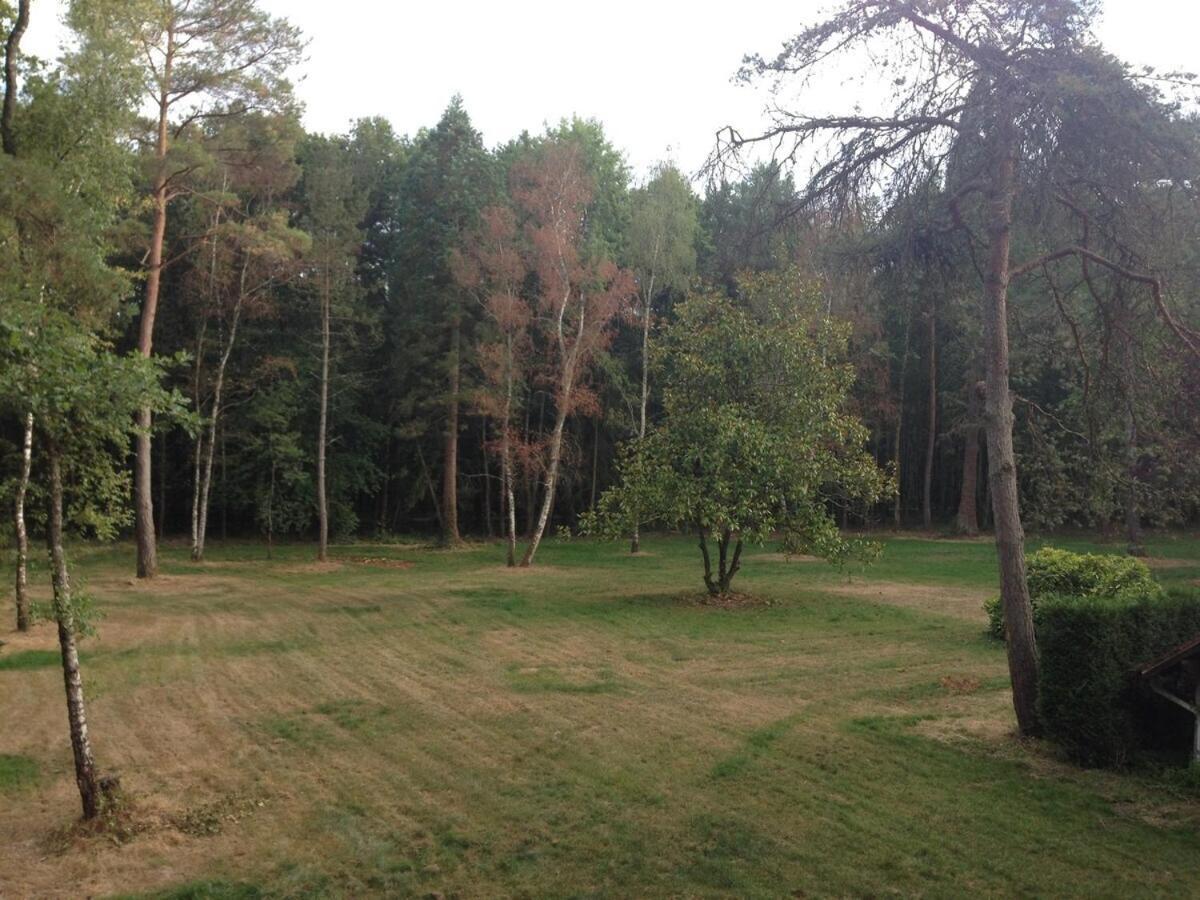 Lodge De Loire - B & B Proche Chambord Saint-Laurent-Nouan Luaran gambar